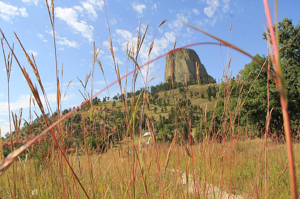 Devils Tower Closes to Visitors Due to COVID-19 Concerns