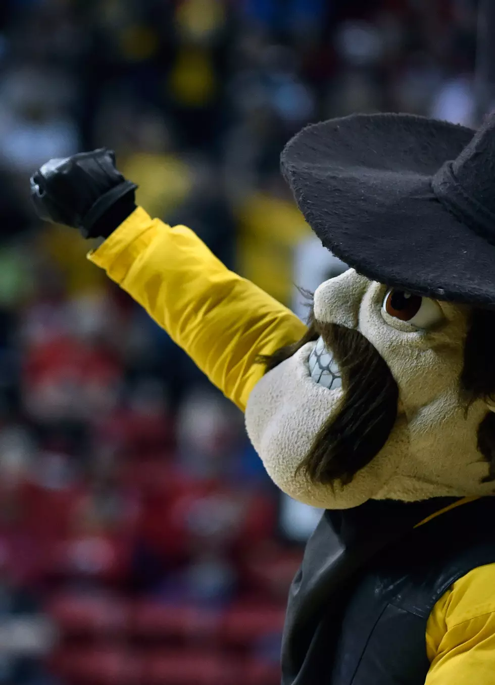 Will Our University of Wyoming Mascot Be Under Attack Again?