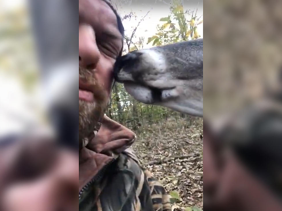 WATCH: This Deer Doesn’t Understand How Hunting Works