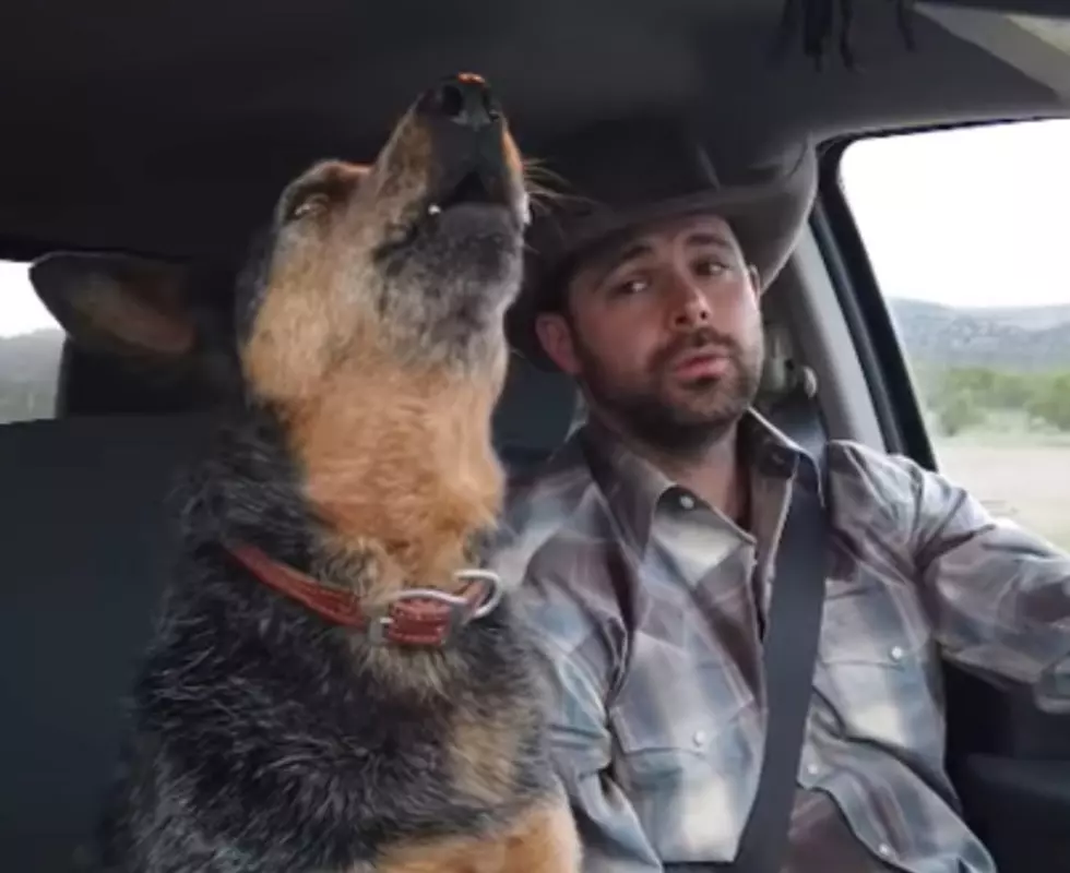 Watch This Dog Sing Along to Chris LeDoux’s “Look At You Girl”
