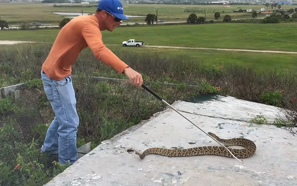Texas Guys Mess With Rattlesnake and I’m Cheering for the Snake