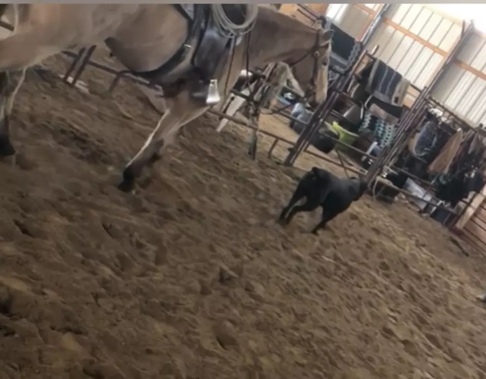 On This Wyoming Ranch Everyone Pitches In To Get The Job Done