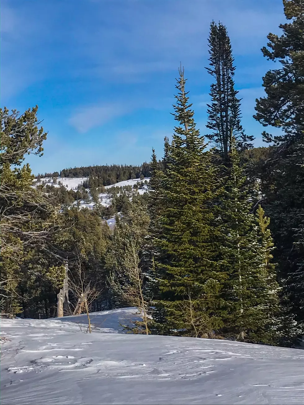 Listen: Strange Noises From Casper Mountain Caught On Video