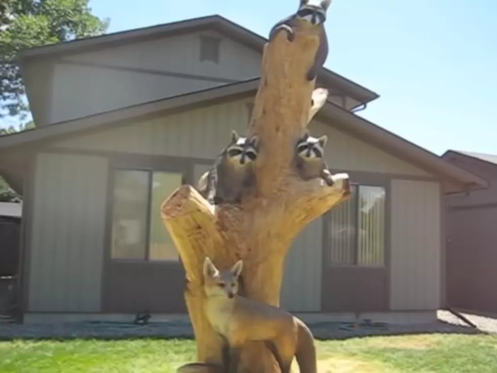 Colorado Guy Made This Stellar Wood Carving with his Chainsaw