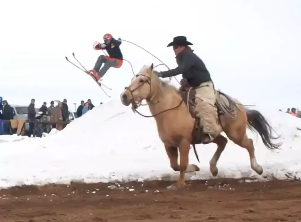Skijoring Is The Most Wyoming Sport Ever