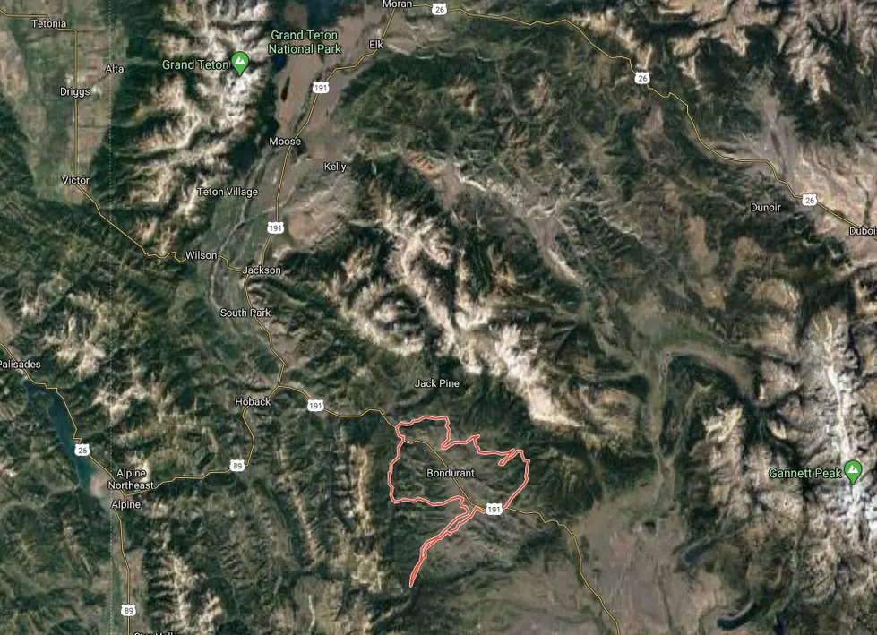 Google Maps Satellite View