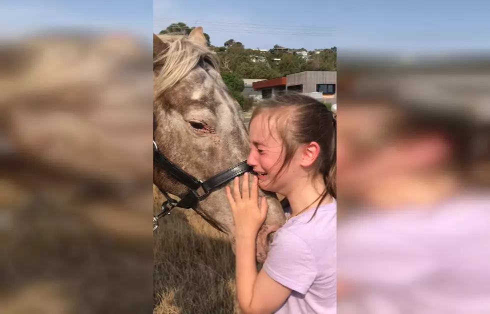 Watching This Girl Get Her First Horse Warms Our Hearts