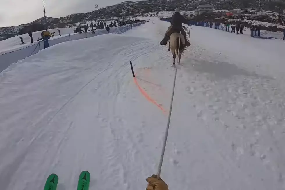As Close As You’ll Get to Skijoring Without Actually Doing It