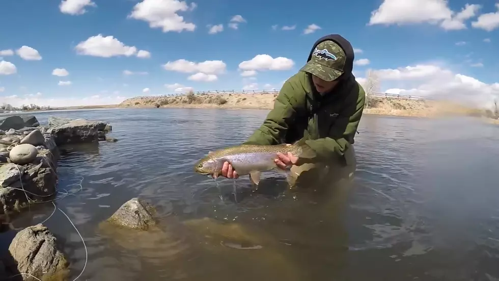 Fly Fishing for Rainbows is Casper Social Distancing Perfected
