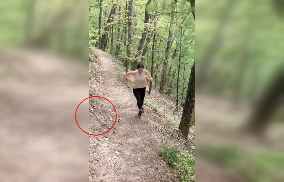 Man Tells Girlfriend to Run By Snake, Instantly Regrets It