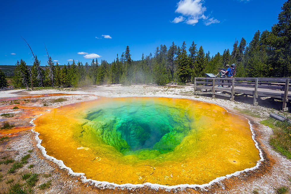 Dog That Ran Into Yellowstone Hot Spring Dies, Owner Hospitalized