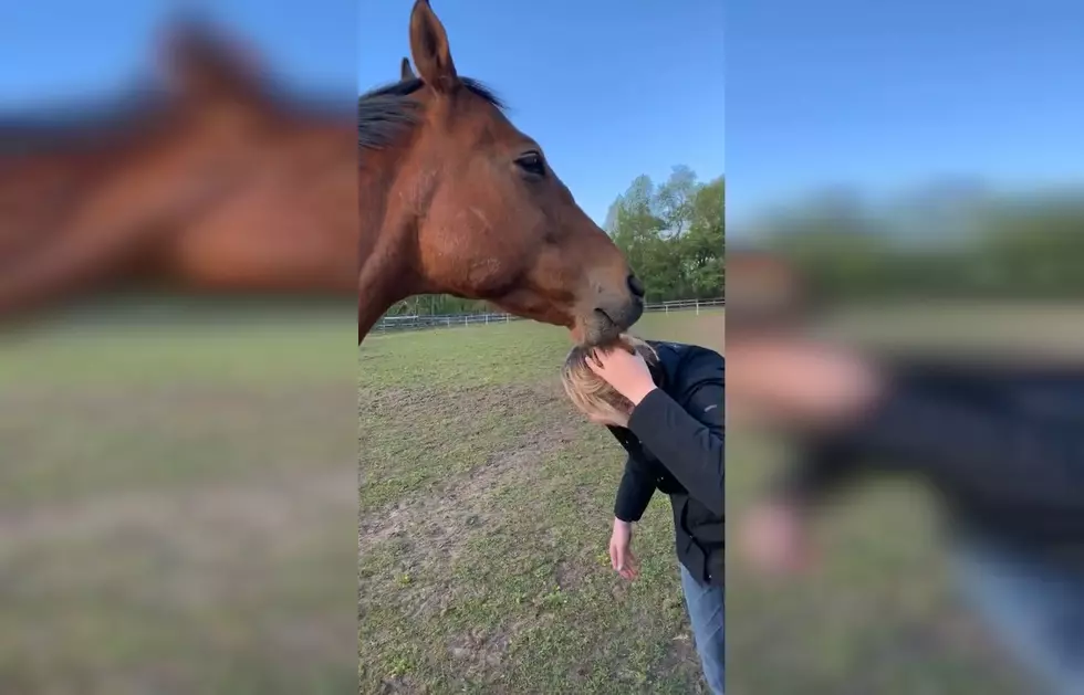 Woman Surprised to Learn Her Horse Has Her By the Hair