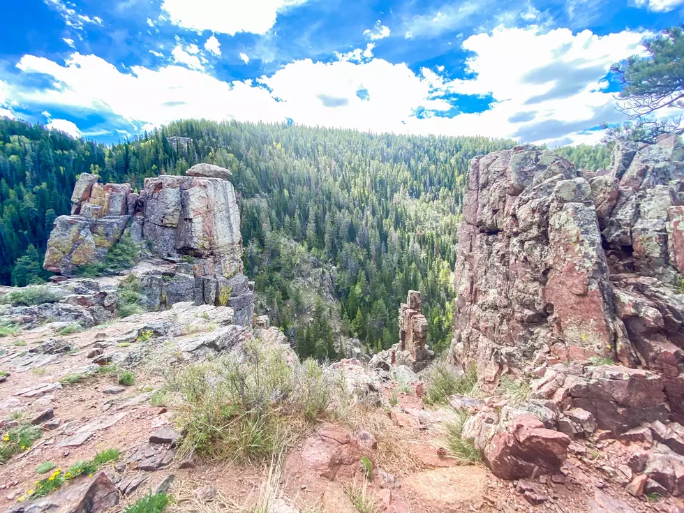 Casper’s Bridle Trail Is Full Of Spring Flowers and Epic Views