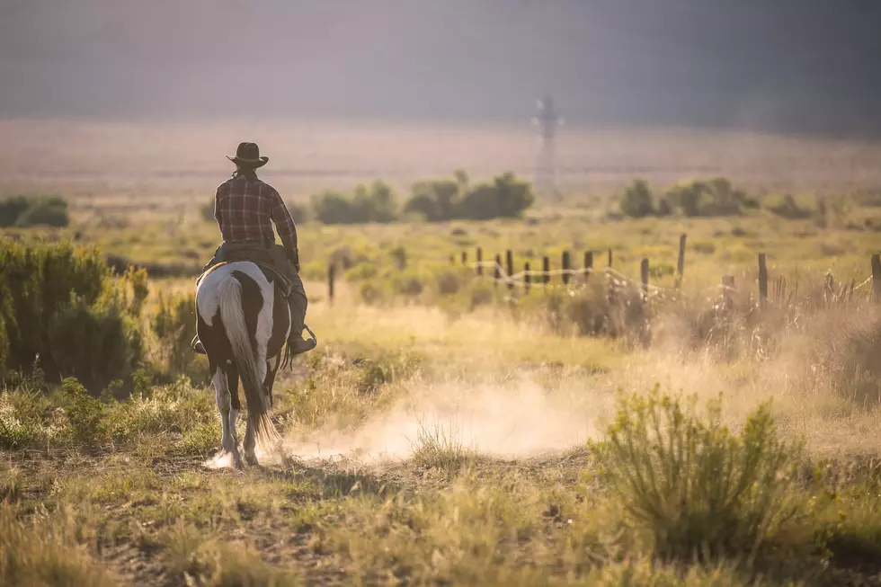 Wyoming Is Not Backwards, Just Smarter