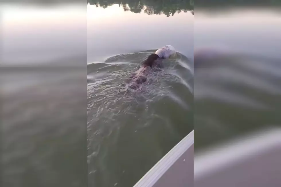 Brave Couple Save Baby Bear with Jug on its Head in a Lake