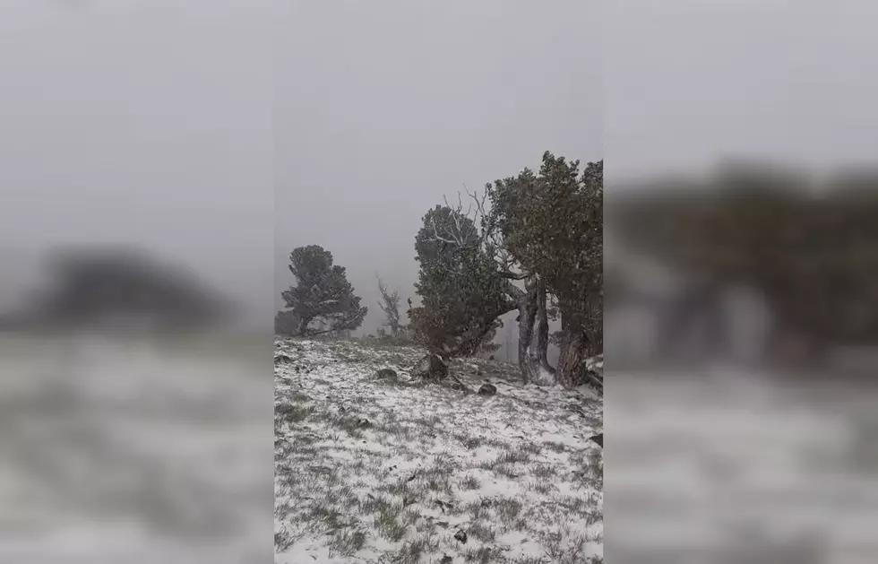 Wyoming Says ‘Welcome to June’ with Thunder Snow