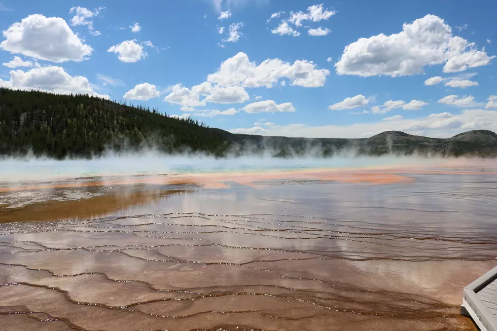 14 Pics Prove Why Yellowstone and Grand Teton are Underrated