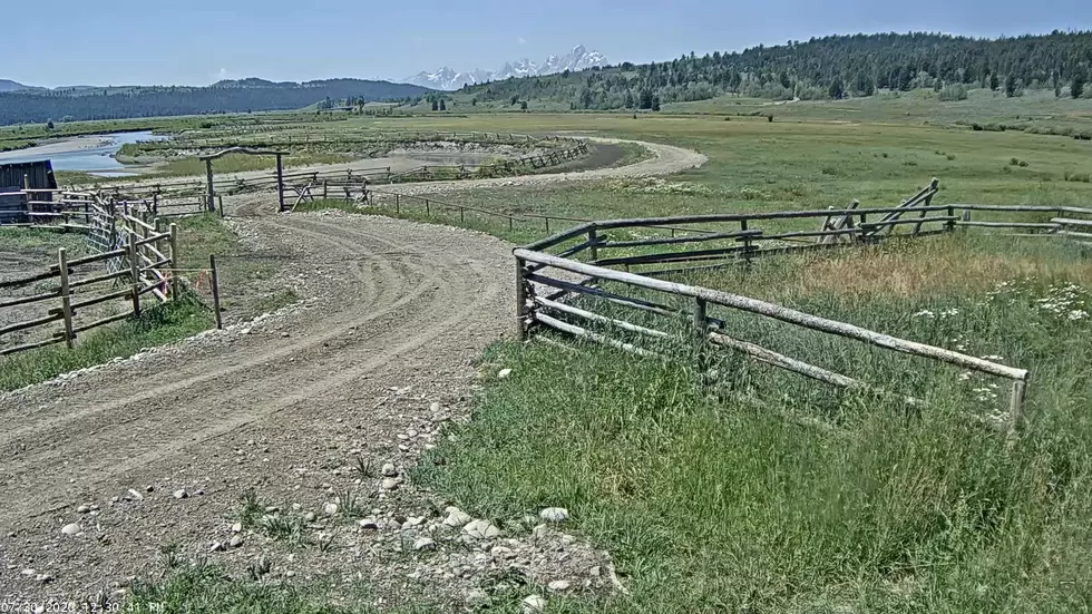 Watch a Live Stream of This Wyoming Ranch Anytime You Want
