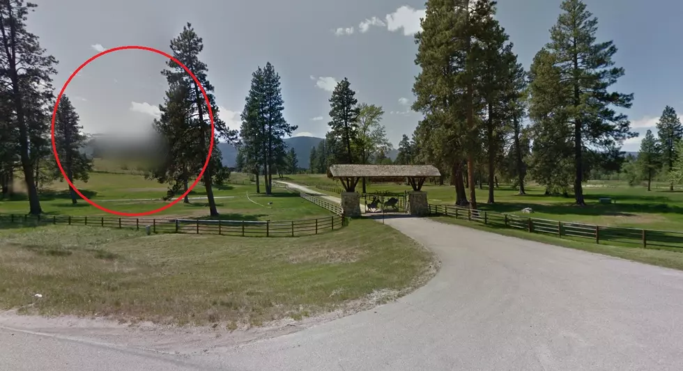 Google Maps Street View