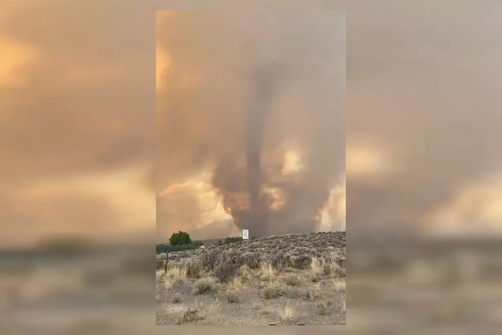 California Really Did Have a Fire Tornado Yesterday Because 2020