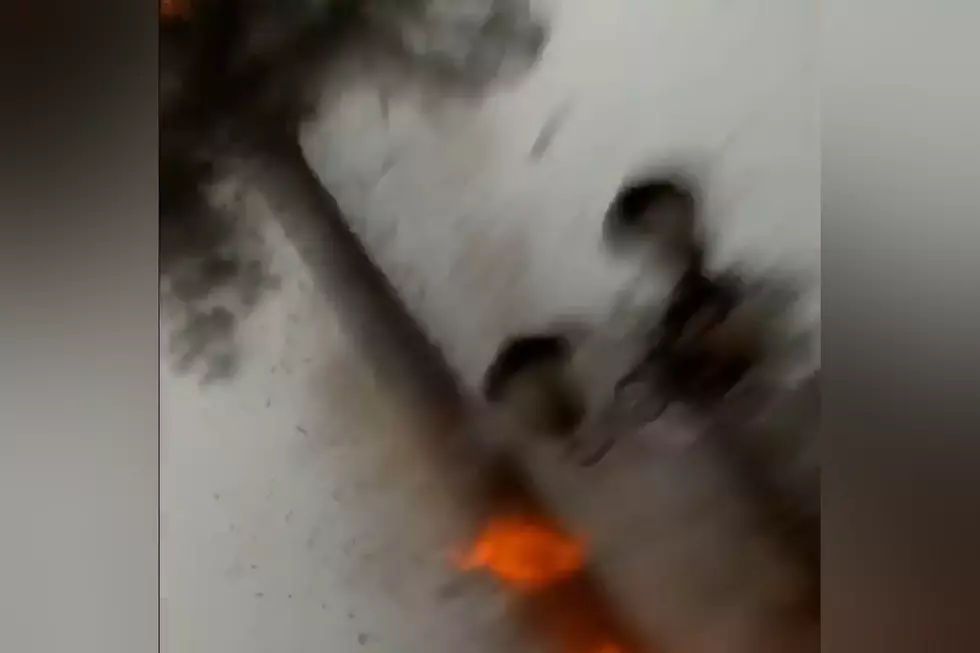 California Guy Watches Texas Lightning Destroy Tree Next to Him