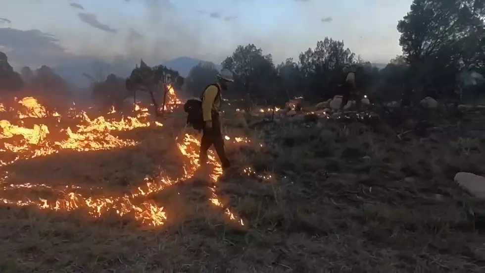 Videos Show Bravery Required to be a Wildfire Firefighter