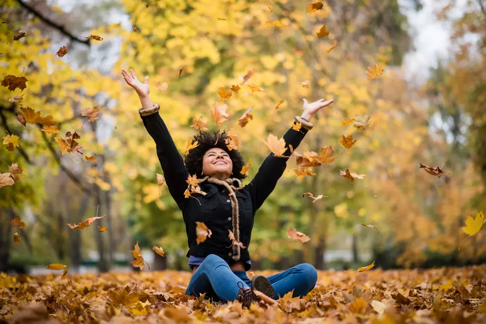 Check Out The Map Of Perfect Fall Leaf Peeping Time In Idaho