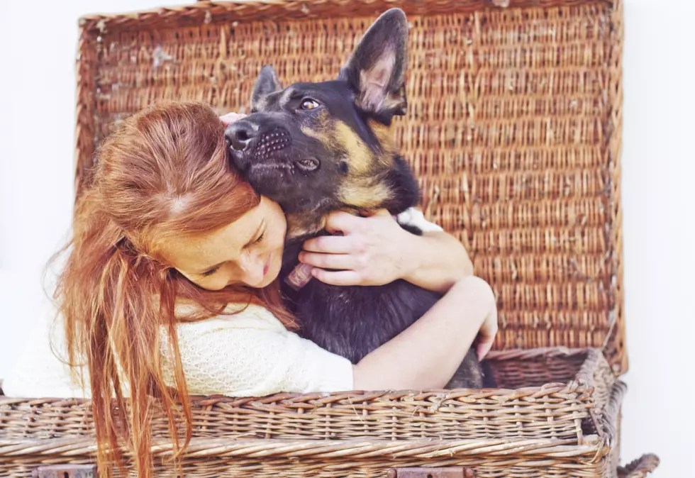 Science Says Saying &#8220;I Love You&#8221; Makes Your Dogs Heart Race