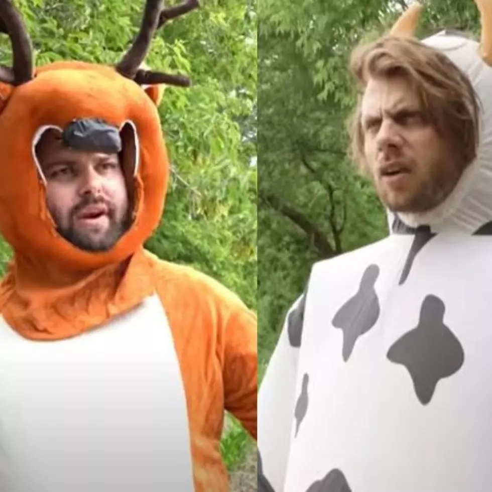 This Cow vs. Deer Video Is Hilariously "Punny"