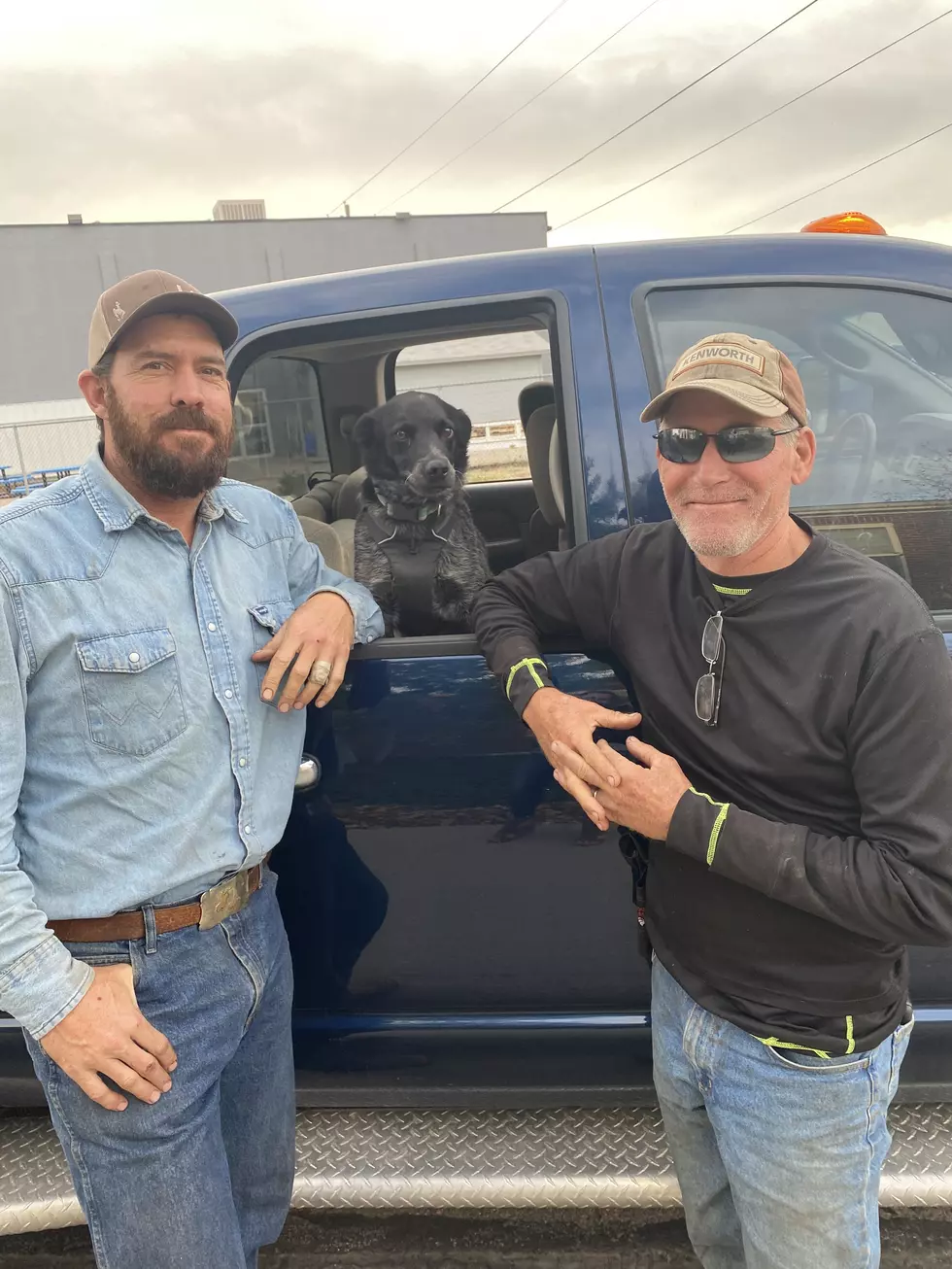 Dog Lost In Wyoming Mountains For 3 Days Reunited With Owner