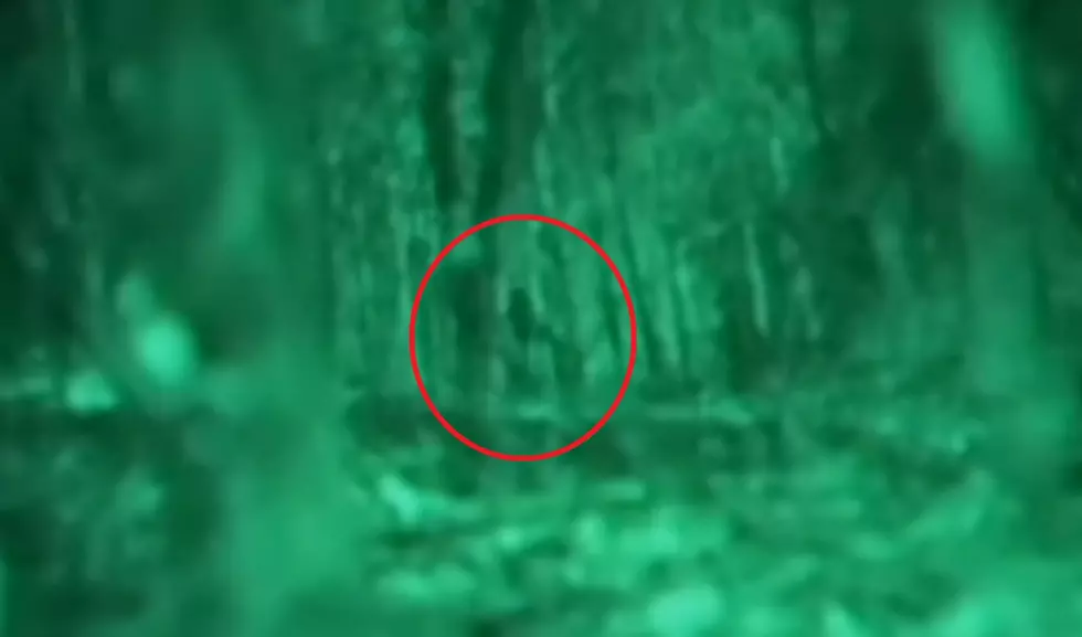 Here are 3 Chilling Eyewitness Sightings of Bigfoot in Wyoming