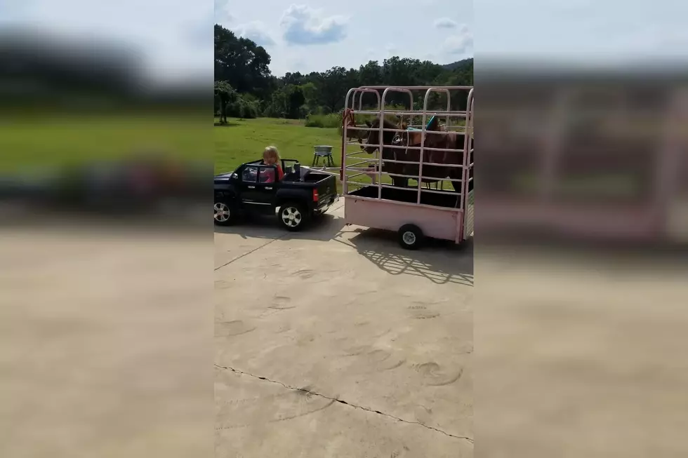 Cowgirl in Training: Watch Little Girl Tow Horse with Toy Vehicle