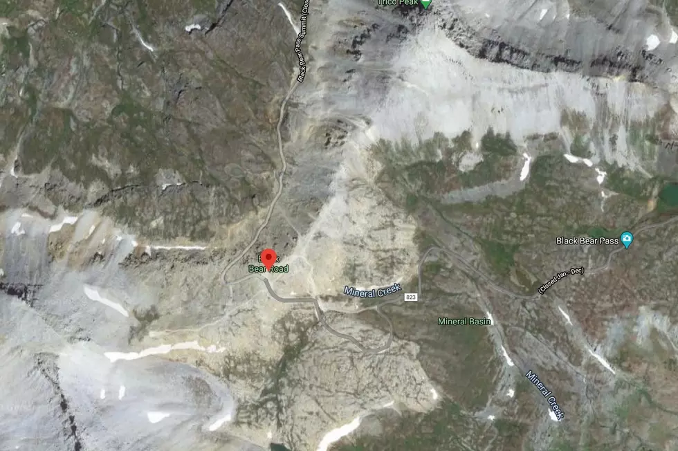 Google Maps Satellite View