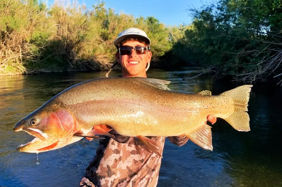 Man Catches Record Yellowstone Cutthroat Trout Out of Snake River