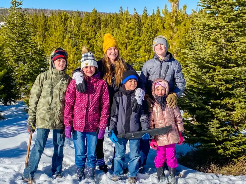 Wyoming Traditions: Cutting Down a Christmas Tree