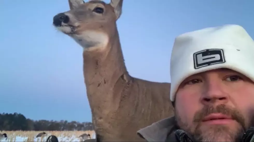 North Dakota Duck Hunters Joined By Deer, Fed Her Pop Tarts