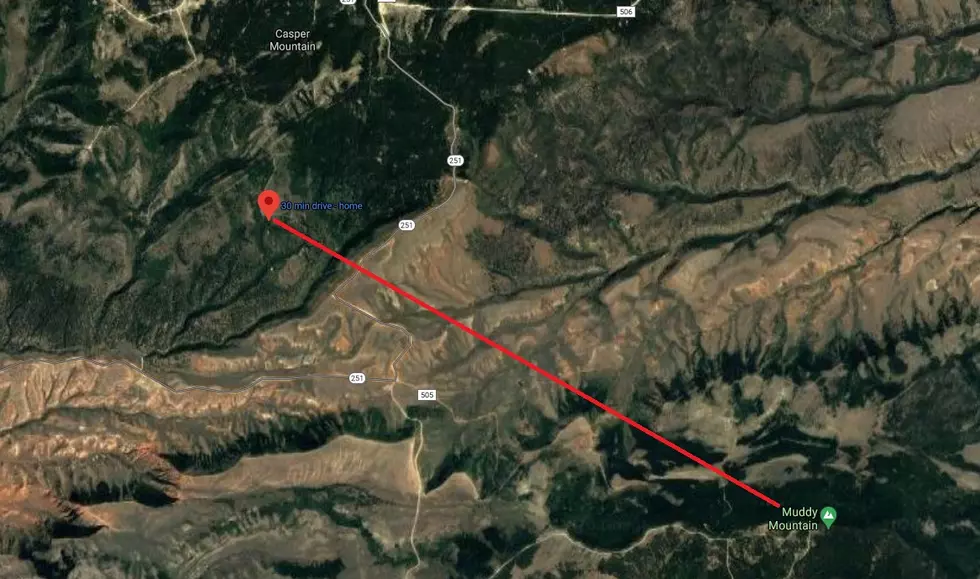 Google Maps Satellite View