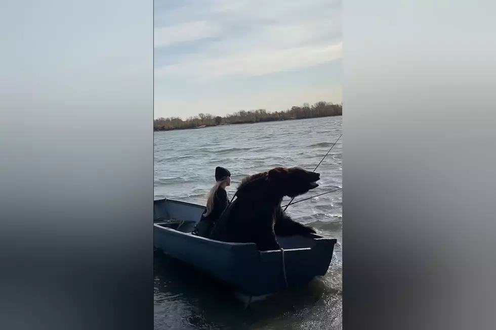 Watch a Woman Go Fishing With Her Pet Bear Named Archie