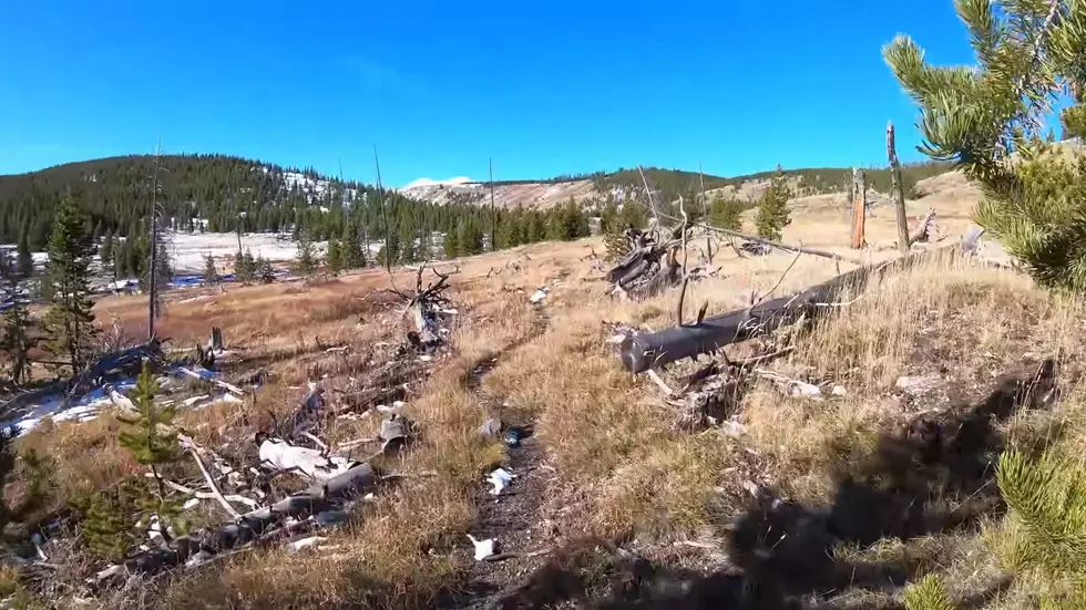 Video Shows What It’s Like to Hike Yellowstone in the Winter
