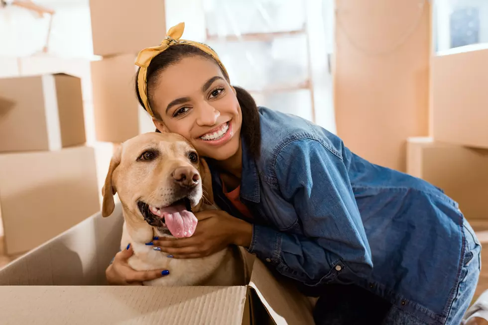 Science Says: Dogs Have A Stronger Bond With Women Than Men