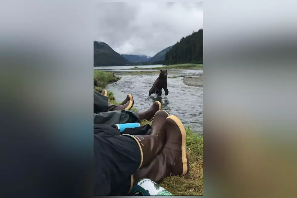 Watch Fishermen Remain Chill While a Huge Bear Charges By Them