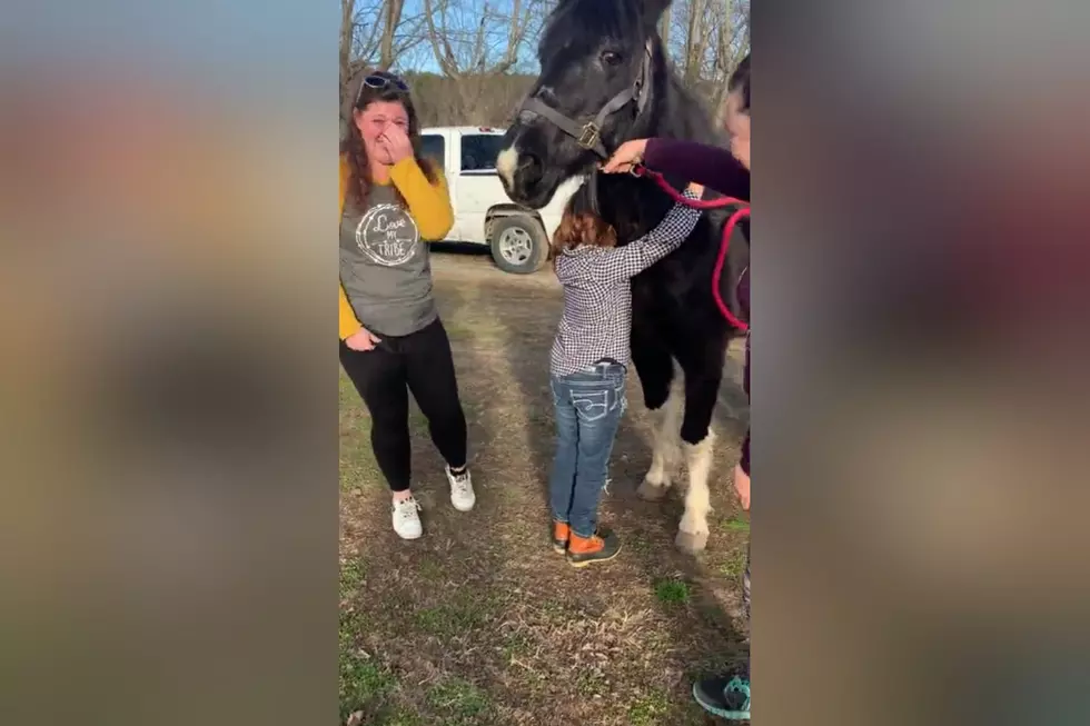 Watch a Girl Who Suffered Abuse Get a Horse to Help Her Heal