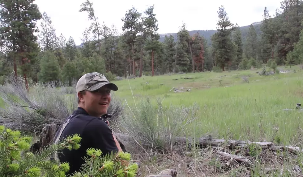 Wyoming Hunter Shares Blood-Curdling Mountain Lion Screams