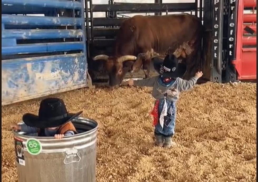 WATCH: These Next-Level, Next-Generation Bullfighters Are Adorable
