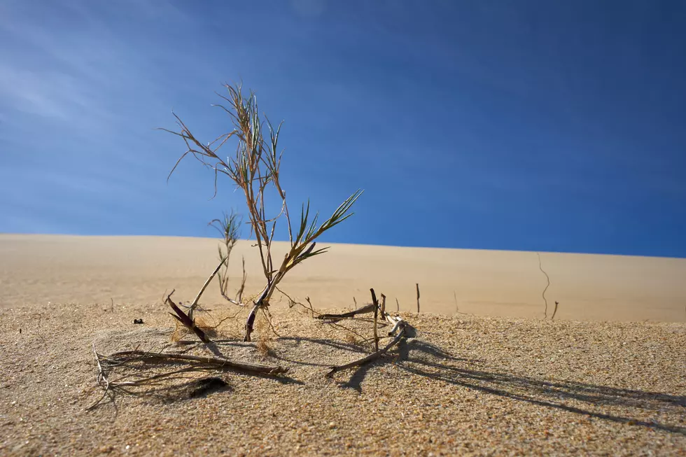 NWS Riverton Says Our Wyoming Spring Will Be Drier and Warmer