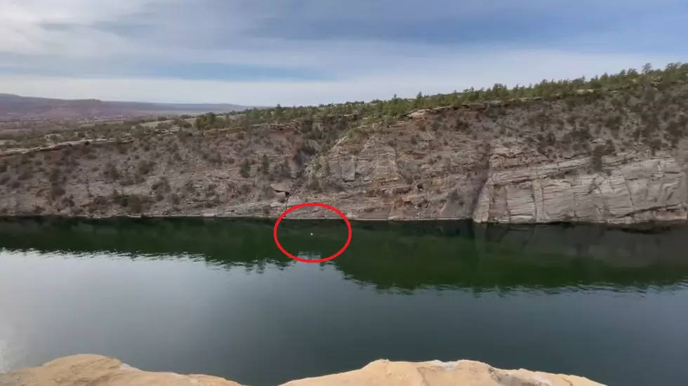 Vintage Wyoming: A Lonely Goose Flies Through Fremont Canyon