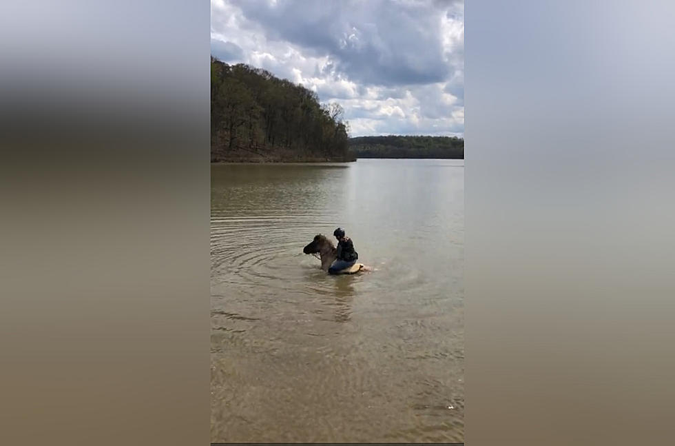 In the Middle of a Ride, This Horse Decided to Sit Down in a Lake