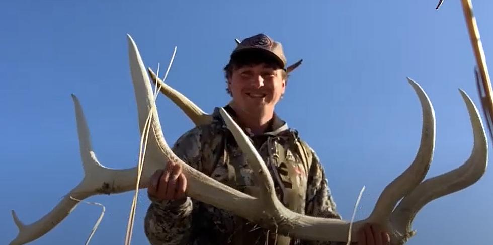 Wyoming Man Collects Gigantic Elk Antler on Public Land