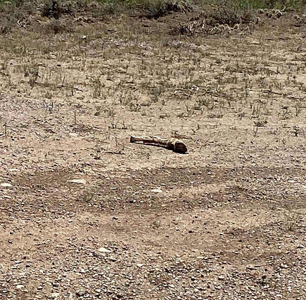 Worst Wyoming Drought Since 2013 Affecting The State