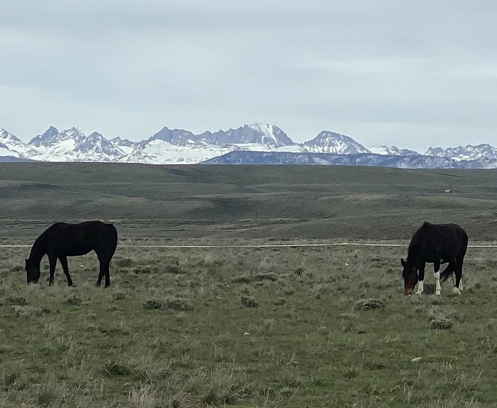 Explore Wyoming And Pay Under $100/ night in these GREAT Airbnb&#8217;s